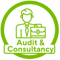 expat_icon_auditoConsultancy_2